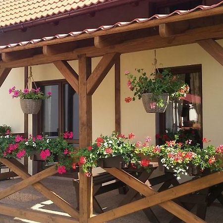 Domek Piotr 2 Stegna  Dış mekan fotoğraf